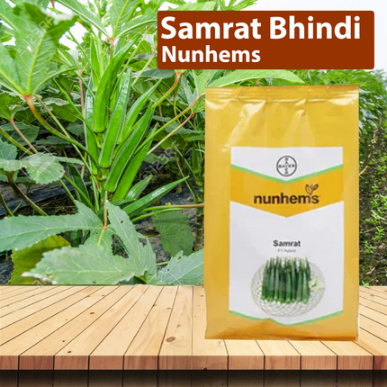 Nunhems Samrat Bhindi (Okra) Seeds - Pack of 3500 Seeds - Agriplex