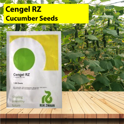 Cengel RZ F1 (22-193) Cucumber Seeds - 1000 SEEDS - Agriplex