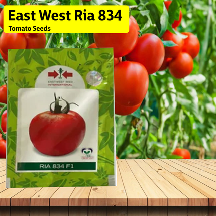 East West Ria 834 Tomato Seeds - Agriplex