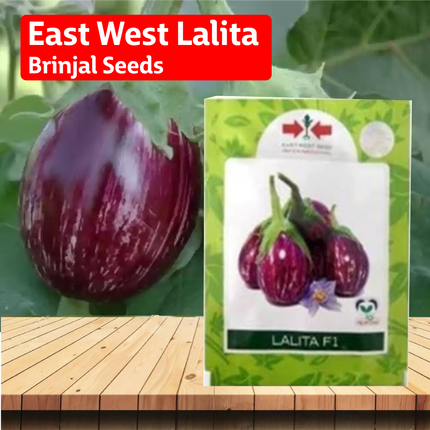 East West Lalita Brinjal Seeds - Agriplex