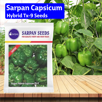 Sarpan Capsicum Hybrid Tx-9 Seeds - 10 GM - Agriplex