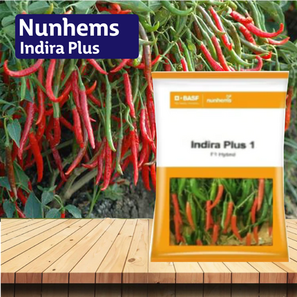 Nunhems Indira Plus - 1500SEEDS - Agriplex