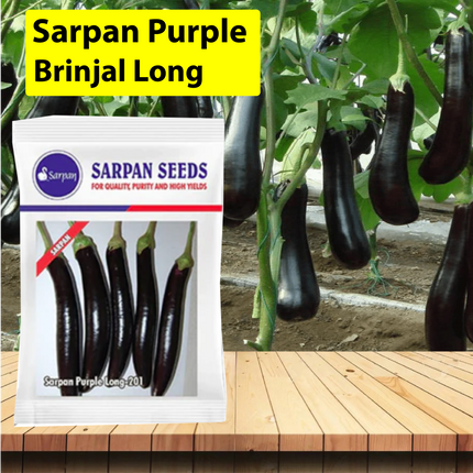Sarpan Purple Brinjal Long - 201 Seeds - 20 GM - Agriplex
