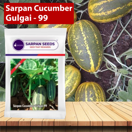 Sarpan Cucumber Gulgai (99 Seeds) - 50 GM - Agriplex