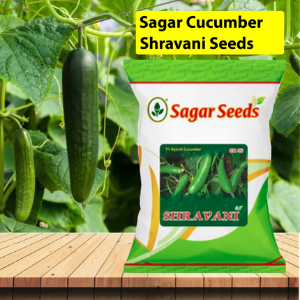 Sagar Cucumber Shravani Seeds - 25GM - Agriplex