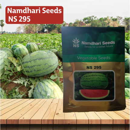 NS 295 F1 Hybrid Watermelon Seeds - Agriplex