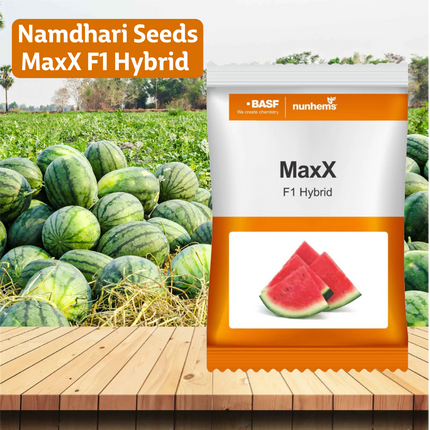Nunhems Maxx F1 Hybrid Watermelon Seeds - Agriplex