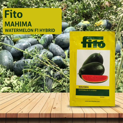 Fito Mahima Watermelon - 1000 SEEDS - Agriplex