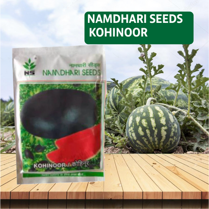 Namdhari Kohinoor Watermelon Seeds - 50GM - Agriplex