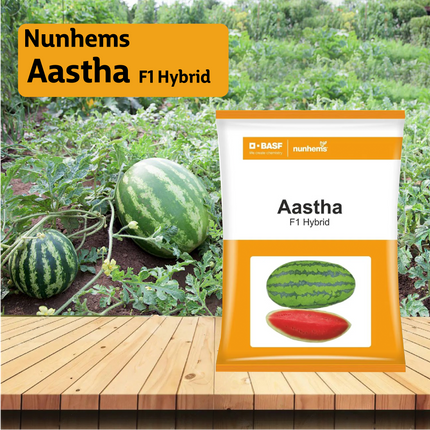 Nunhems Astha Watermelon - 1000SEEDS - Agriplex