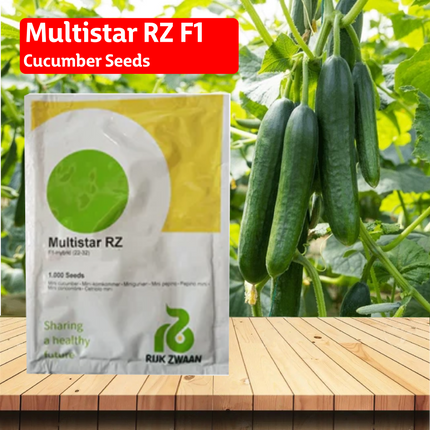 Multistar RZ F1 Cucumber Seeds - 1000 SEEDS - Agriplex