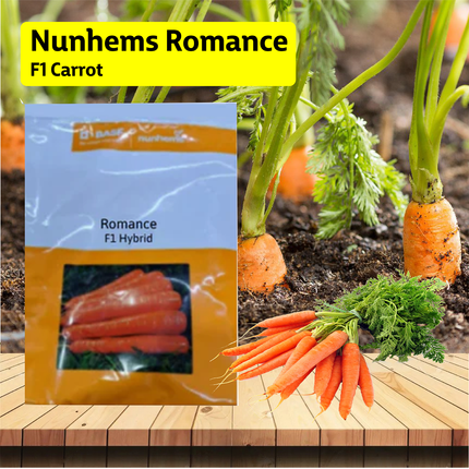 Nunhems Romance F1 Carrot - 100000SEEDS - Agriplex