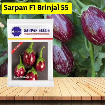 Sarpan F1 Brinjal-55 Seeds - Agriplex