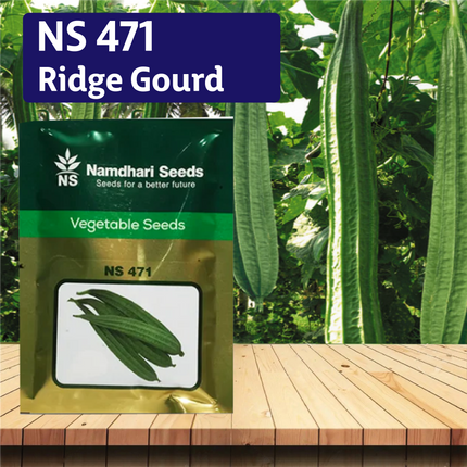 NS 471 Ridge Gourd Seeds - Agriplex