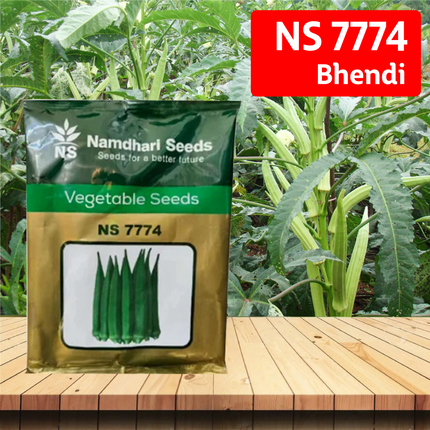 NS 7774 Bhendi Seeds - Agriplex