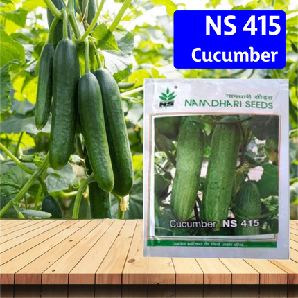 NS 415 Cucumber Seeds - Agriplex