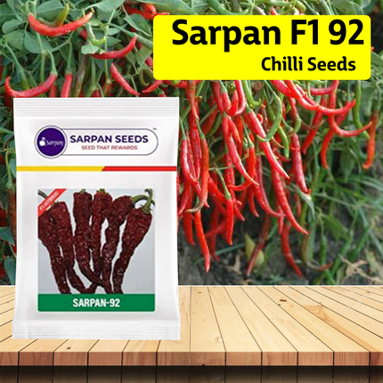 Sarpan F1 92 Chilli Seeds - Agriplex