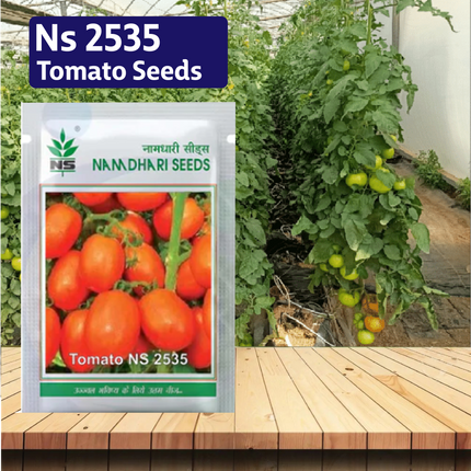 Ns 2535 Tomato Seeds - Agriplex