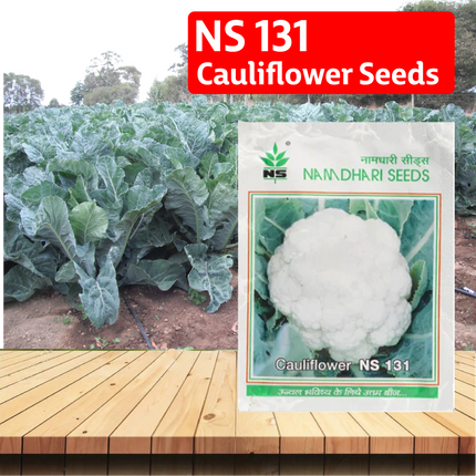 NS 131 Cauliflower Seeds - Agriplex
