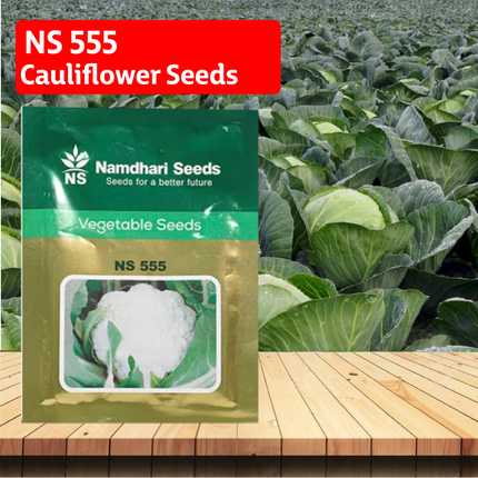 NS 555 Cauliflower Seeds - Agriplex