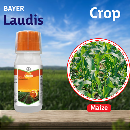 Bayer Laudis Herbicide - Agriplex