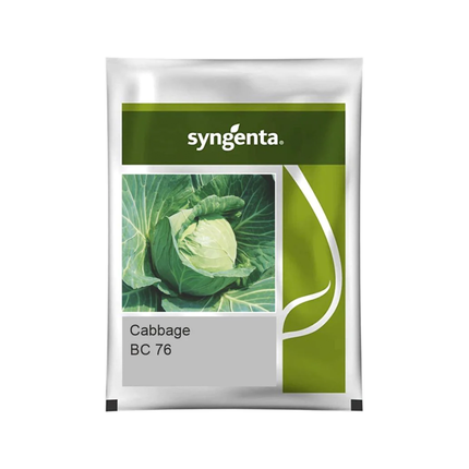 Syngenta BC 76 Cabbage Seeds - Agriplex