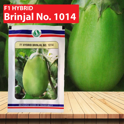 SUNGRO Brinjal No. 1014 Seeds - 10 GM - Agriplex