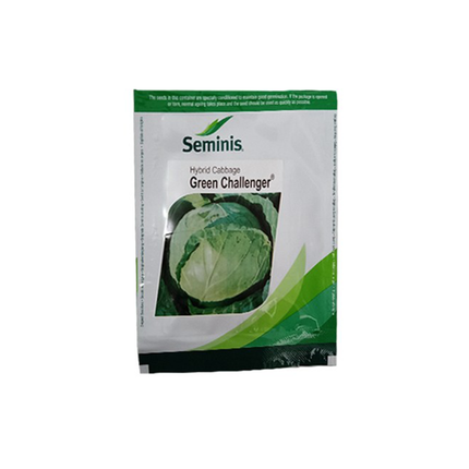 Seminis Green Challenger Cabbage Seeds - 10 GM - Agriplex