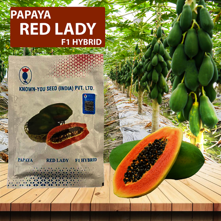 Known You Red Lady Papaya Seeds - 10 GM - Agriplex