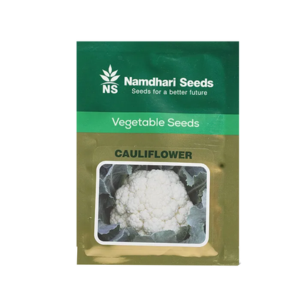 NS 60n Cauliflower Seeds - Agriplex