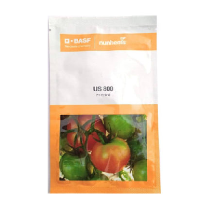 Nunhems Tomato US 800 - 3000 SEEDS - Agriplex