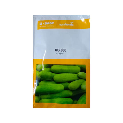 Nunhems Cucumber US 800 - 1000SEEDS - Agriplex