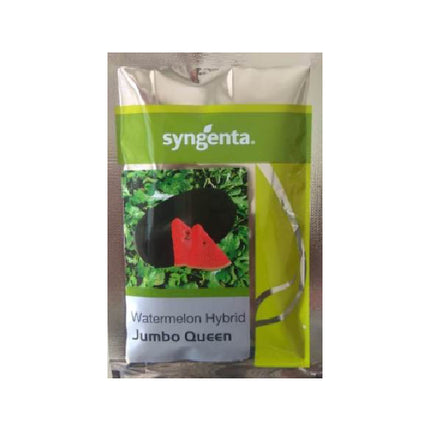 Syngenta Jumbo Queen Watermelon - 1000 SEEDS - Agriplex