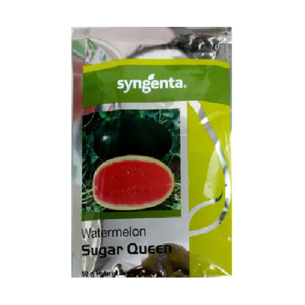 Syngenta Sugar Queen Watermelon Seeds - Agriplex
