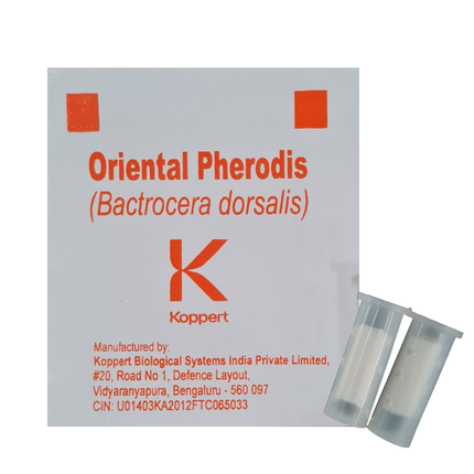 Koppert Oriental Pherodis- 2Nos in Pouch - Agriplex
