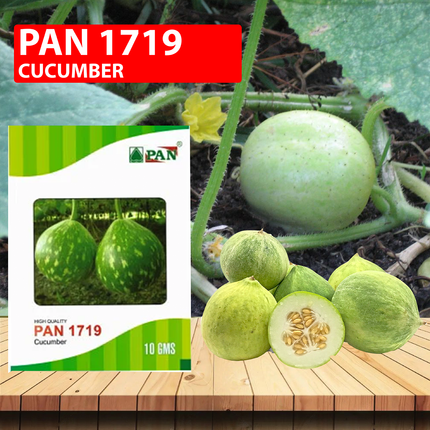 PAN 1719 Hybrid Bottle Gourd (Dark Green Colour With Spots) Seeds - 10 GM (Pack of 2) - Agriplex