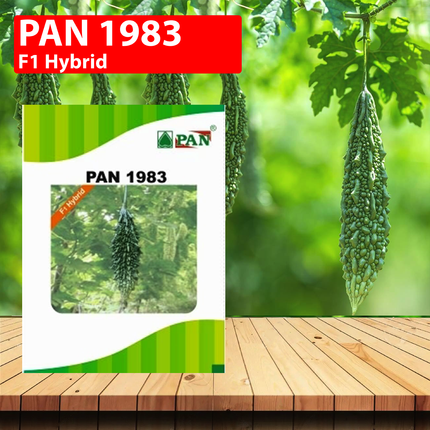 PAN 1983 Hybrid Bitter Gourd Seeds (Dark Green) - 10 GM (Pack of 2) - Agriplex
