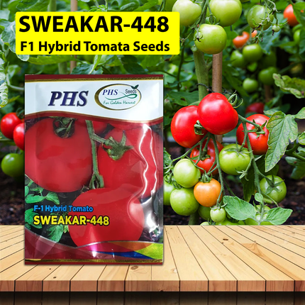PHS Tomato 448 (10   GM)
