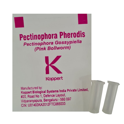 Koppert Pectinophora Pherodis- 2 Nos/Pouch - Agriplex