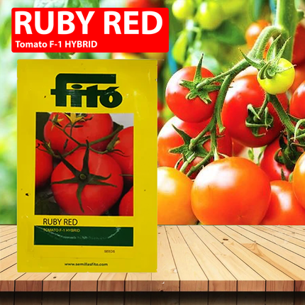 FITO Ruby Red Seeds - Agriplex