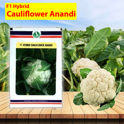 SUNGRO Anandi Cauliflower Seeds - 10 GM - Agriplex