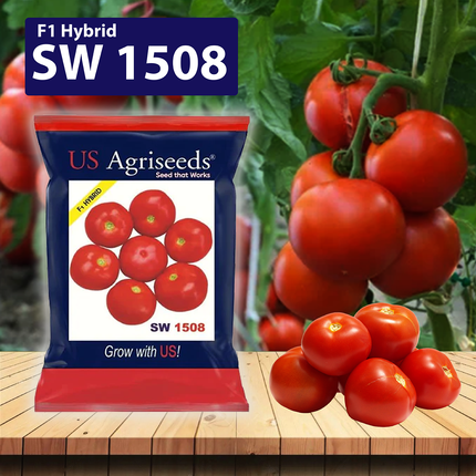 SW 1508 Hybrid Round Tomato Seeds - Agriplex
