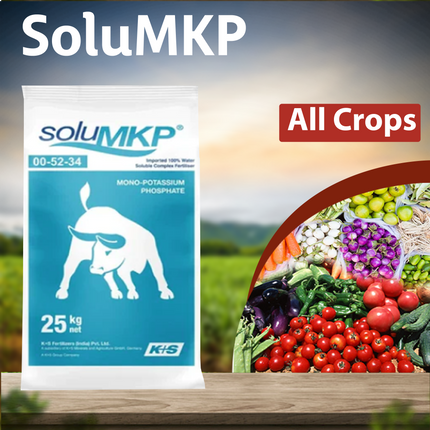 K+S SoluMKP 00:52:34 Fertilizers - 1 KG - Agriplex