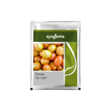 Syngenta TO-1057 Tomato Seeds - Agriplex