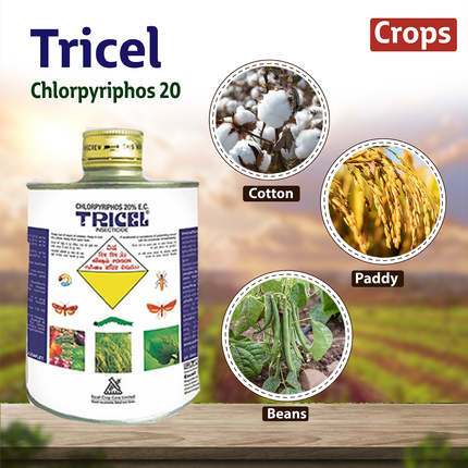 Excel Tricel Insecticide - Agriplex