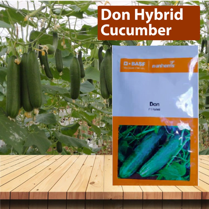 Nunhems Don Hybrid Cucumber - 1000SEEDS - Agriplex