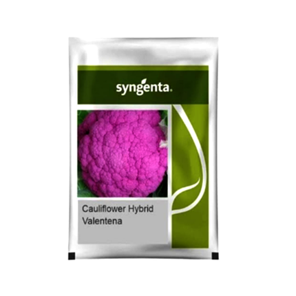 Syngenta Valentena Cauliflower Seeds - Agriplex