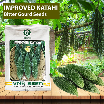 VNR Katahi Bitter Gourd Seeds - 50 GM (Pack of 2)