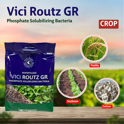Koppert Vici Routz GR PSB Biofertilizer - Agriplex