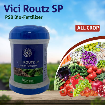 Koppert Vici Routz SP PSB Biofertilizer Powder - Agriplex